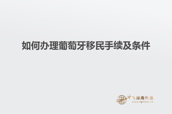 如何办理葡萄牙移民手续及条件
