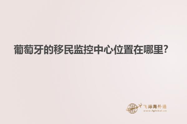 葡萄牙的移民监控中心位置在哪里？