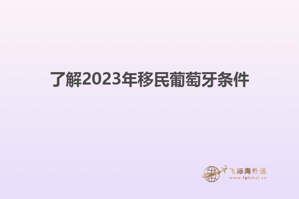 了解2023年移民葡萄牙条件