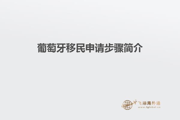 葡萄牙移民申请步骤简介