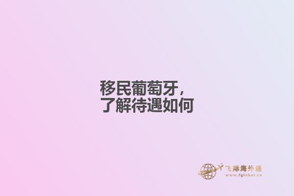 移民葡萄牙，了解待遇如何