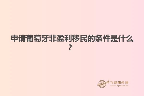 申请葡萄牙非盈利移民的条件是什么？