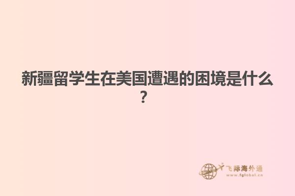 新疆留学生在美国遭遇的困境是什么？