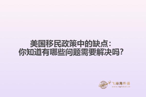 美国移民政策中的缺点：你知道有哪些问题需要解决吗？