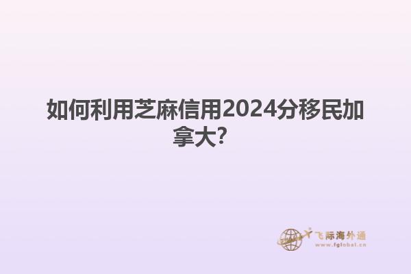 如何利用芝麻信用2024分移民加拿大？