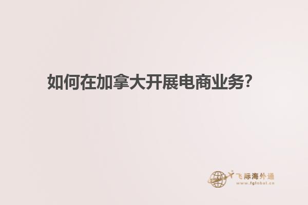 如何在加拿大开展电商业务？