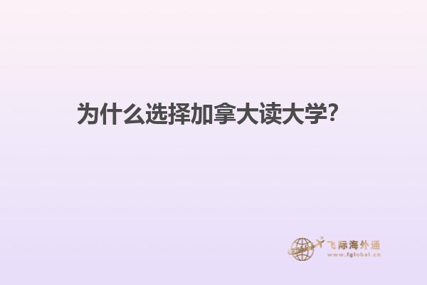 为什么选择加拿大读大学？