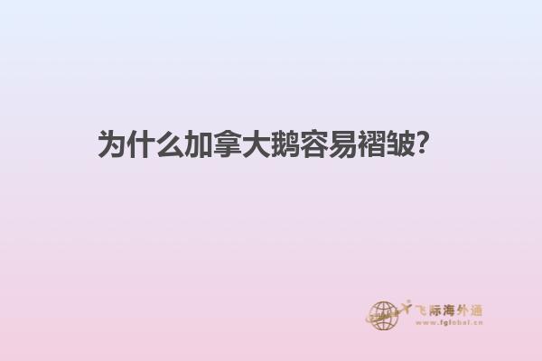 为什么加拿大鹅容易褶皱？