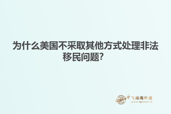 为什么美国不采取其他方式处理非法移民问题？