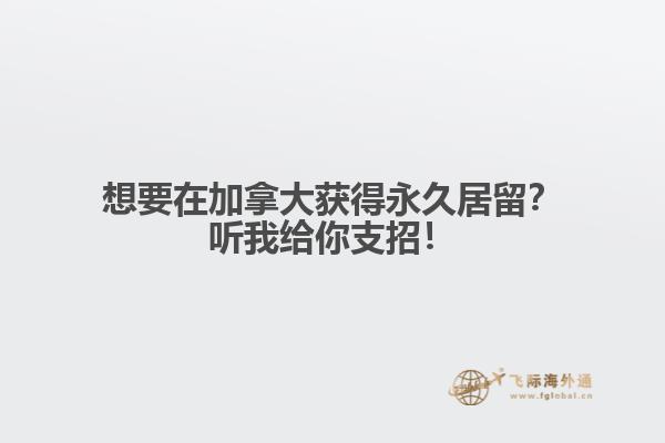 想要在加拿大获得永久居留？听我给你支招！