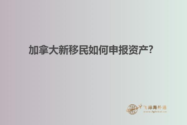 加拿大新移民如何申报资产？