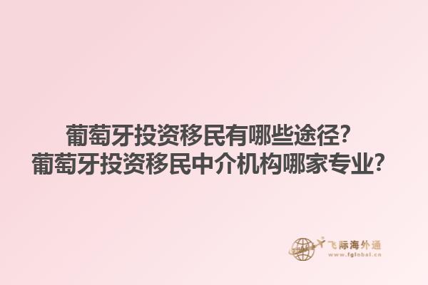 葡萄牙投资移民有哪些途径？葡萄牙投资移民中介机构哪家专业？1.jpg