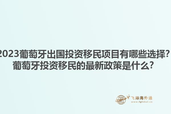 2023葡萄牙出国投资移民项目有哪些选择？葡萄牙投资移民的最新政策是什么？1.jpg