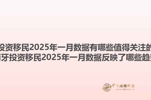 葡萄牙投资移民2025年一月数据有哪些值得关注的地方？葡萄牙投资移民2025年一月数据反映了哪些趋势？1.jpg