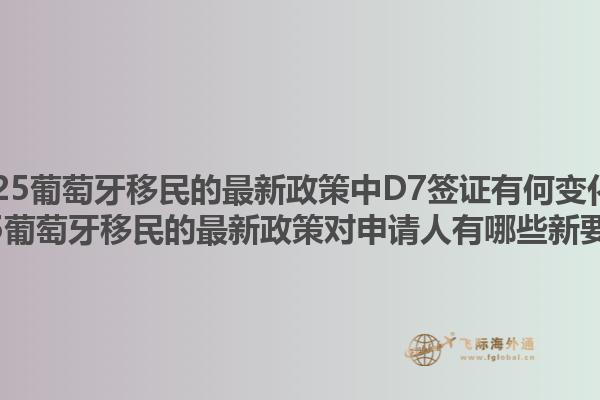 2025葡萄牙移民的最新政策中D7签证有何变化？2025葡萄牙移民的最新政策对申请人有哪些新要求？1.jpg