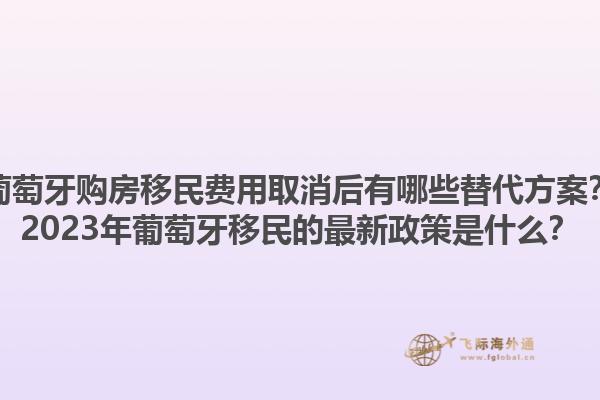 葡萄牙购房移民费用取消后有哪些替代方案？2023年葡萄牙移民的最新政策是什么？1.jpg