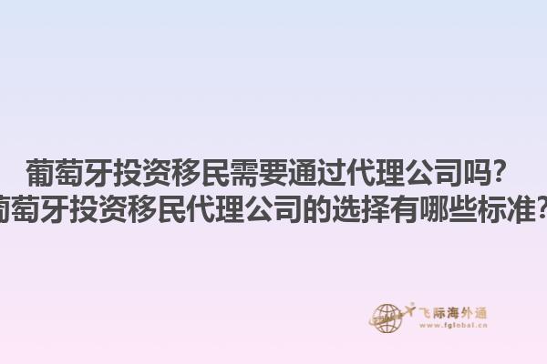 葡萄牙投资移民需要通过代理公司吗？葡萄牙投资移民代理公司的选择有哪些标准？1.jpg