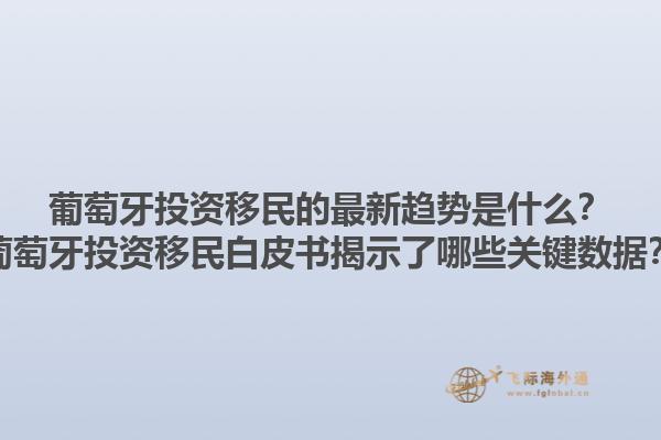 葡萄牙投资移民的最新趋势是什么？葡萄牙投资移民白皮书揭示了哪些关键数据？1.jpg