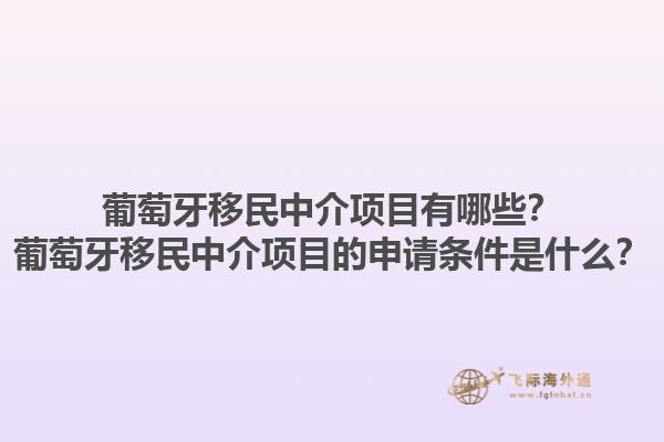 葡萄牙移民中介项目有哪些？葡萄牙移民中介项目的申请条件是什么？1.jpg