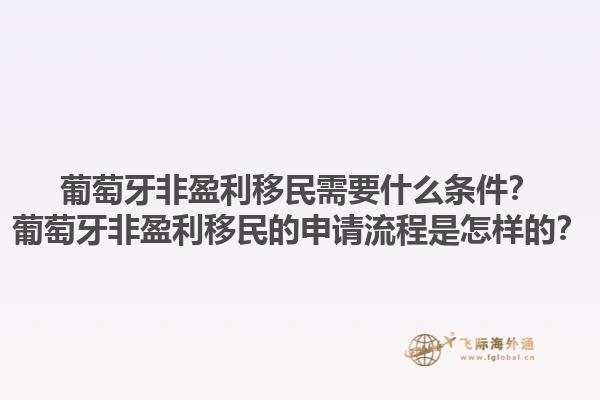 葡萄牙非盈利移民需要什么条件？葡萄牙非盈利移民的申请流程是怎样的？1.jpg