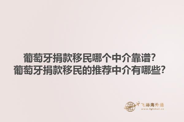 葡萄牙捐款移民哪个中介靠谱？葡萄牙捐款移民的推荐中介有哪些？1.jpg
