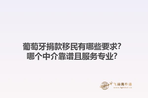 葡萄牙捐款移民有哪些要求？哪个中介靠谱且服务专业？1.jpg