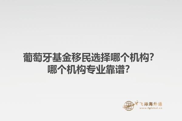 葡萄牙基金移民选择哪个机构？哪个机构专业靠谱？1.jpg