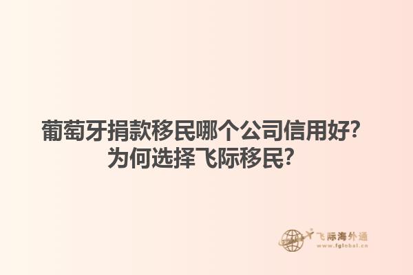葡萄牙捐款移民哪个公司信用好？为何选择飞际移民？1.jpg