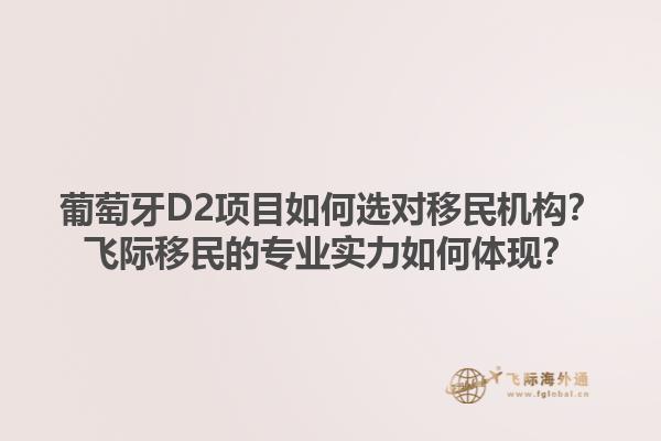 葡萄牙D2项目如何选对移民机构？飞际移民的专业实力如何体现？1.jpg