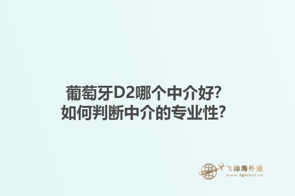 葡萄牙D2哪个中介好？如何判断中介的专业性？1.jpg