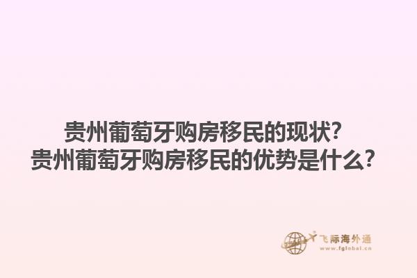 贵州葡萄牙购房移民的现状？贵州葡萄牙购房移民的优势是什么？1.jpg