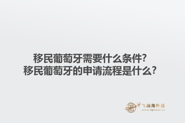 移民葡萄牙需要什么条件？移民葡萄牙的申请流程是什么？1.jpg
