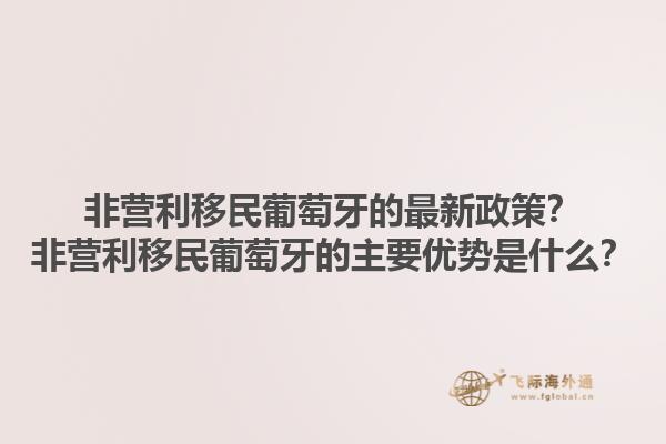 非营利移民葡萄牙的最新政策？非营利移民葡萄牙的主要优势是什么？1.jpg