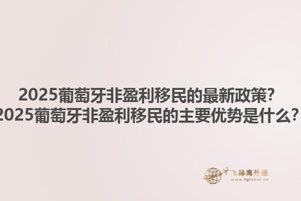 2025葡萄牙非盈利移民的最新政策？2025葡萄牙非盈利移民的主要优势是什么？1.jpg