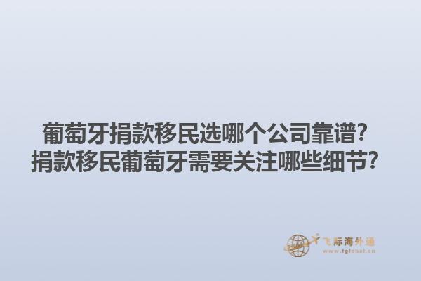 葡萄牙捐款移民选哪个公司靠谱？捐款移民葡萄牙需要关注哪些细节？1.jpg