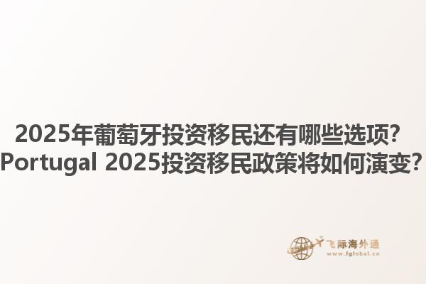 2025年葡萄牙投资移民还有哪些选项？ Portugal 2025投资移民政策将如何演变？1.jpg