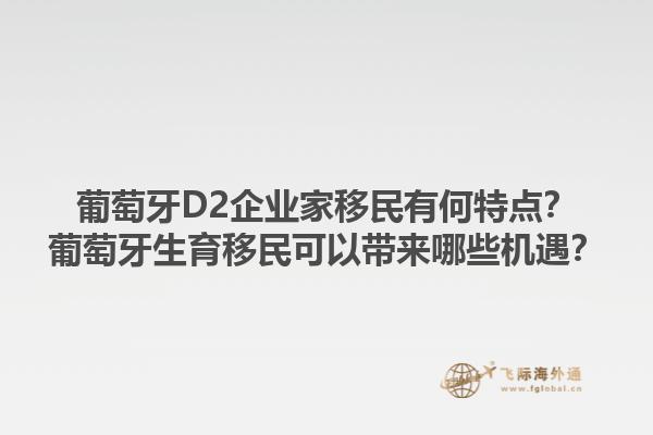 葡萄牙D2企业家移民有何特点？葡萄牙生育移民可以带来哪些机遇？1.jpg