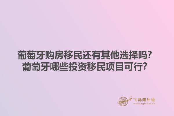 葡萄牙购房移民还有其他选择吗？葡萄牙哪些投资移民项目可行？1.jpg