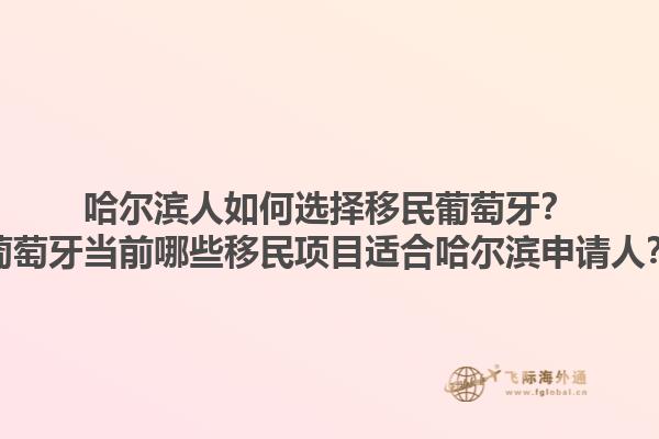 哈尔滨人如何选择移民葡萄牙？葡萄牙当前哪些移民项目适合哈尔滨申请人？1.jpg