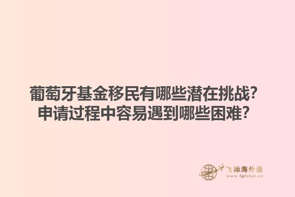 葡萄牙基金移民有哪些潜在挑战？申请过程中容易遇到哪些困难？1.jpg