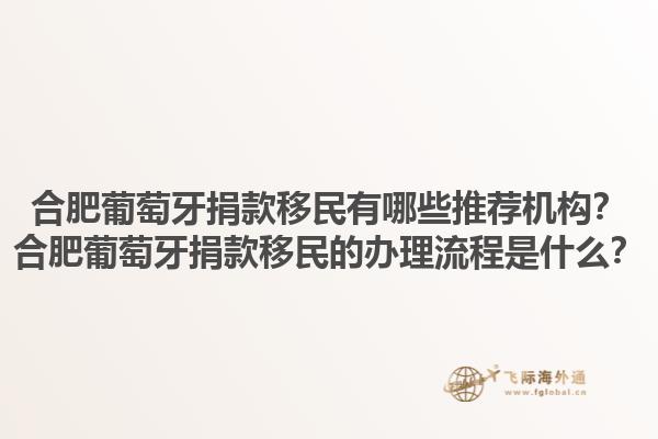 合肥葡萄牙捐款移民有哪些推荐机构？合肥葡萄牙捐款移民的办理流程是什么？1.jpg