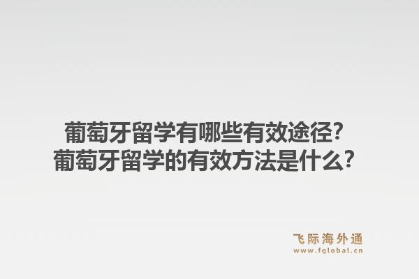 葡萄牙留学有哪些有效途径？葡萄牙留学的有效方法是什么？1.jpg