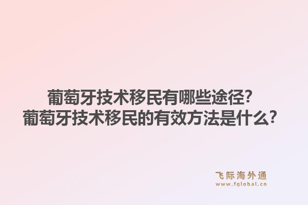 葡萄牙技术移民有哪些途径？葡萄牙技术移民的有效方法是什么？1.jpg