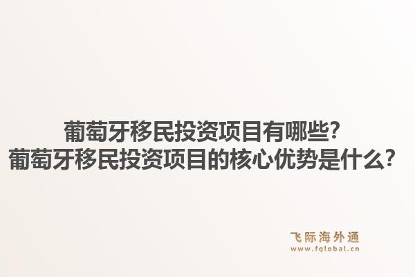 葡萄牙移民投资项目有哪些?葡萄牙移民投资项目的核心优势是什么?1.jpg