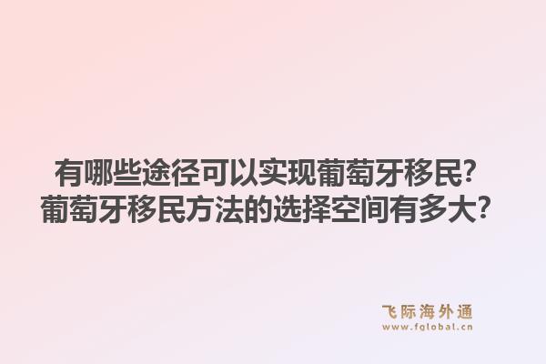 有哪些途径可以实现葡萄牙移民?葡萄牙移民方法的选择空间有多大?1.jpg