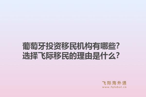葡萄牙投资移民机构有哪些？选择飞际移民的理由是什么？1.jpg