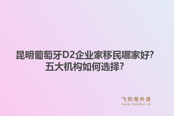 昆明葡萄牙D2企业家移民哪家好？五大机构如何选择？1.jpg