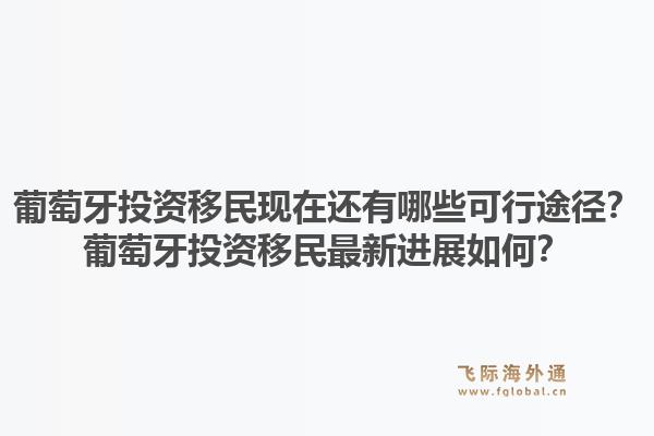 葡萄牙投资移民现在还有哪些可行途径?葡萄牙投资移民最新进展如何?1.jpg