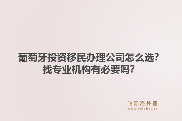 葡萄牙投资移民办理公司怎么选?找专业机构有必要吗?1.jpg