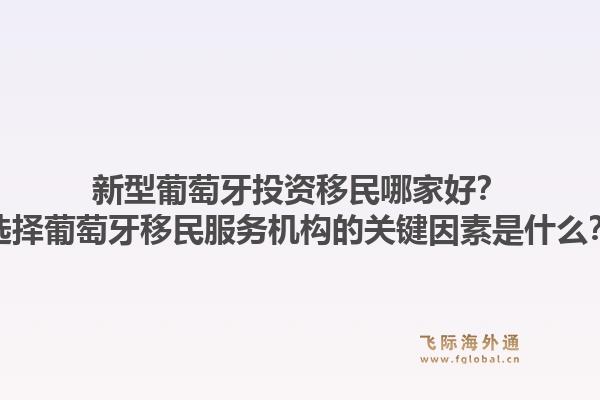 新型葡萄牙投资移民哪家好?选择葡萄牙移民服务机构的关键因素是什么?1.jpg